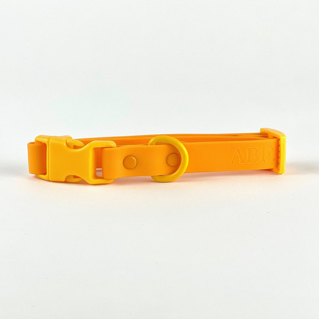 Waterproof Collar Orange