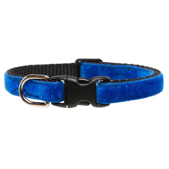 The Night Owl Cat Collar