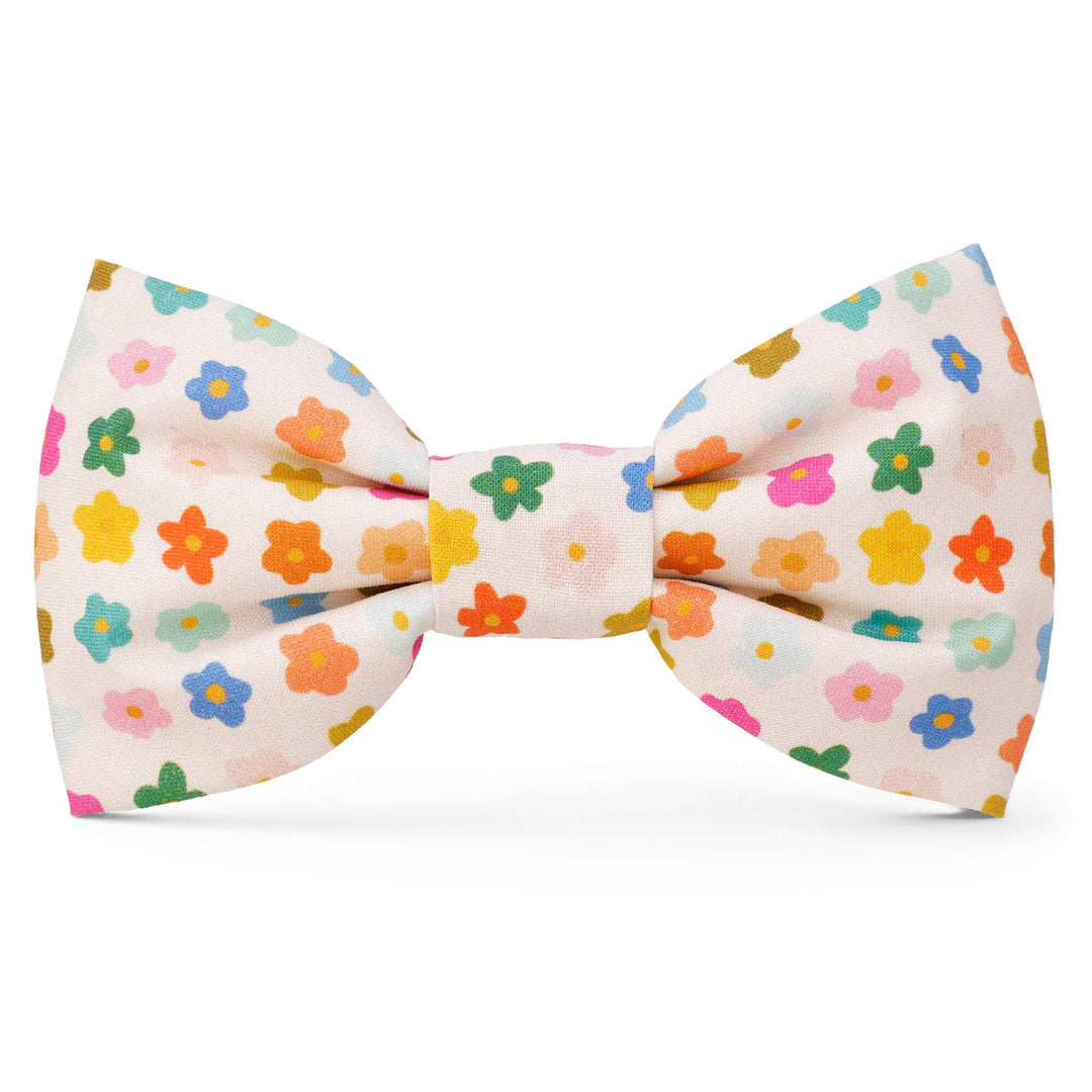 Rainbow Flower Summer Bow Tie Attachment for Collar