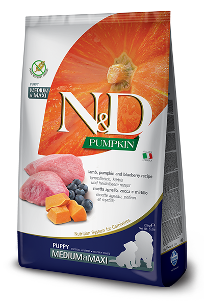 Farmina N&D Pumpkin Puppy Food Medium & Maxi Lamb and Blueberry 26.5lb