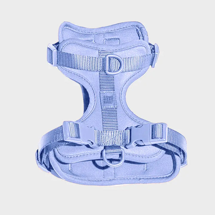 Sky Blue Dog Harness
