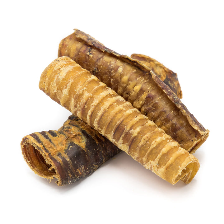 Honey I'm Home Buffalo Trachea Dog Treat