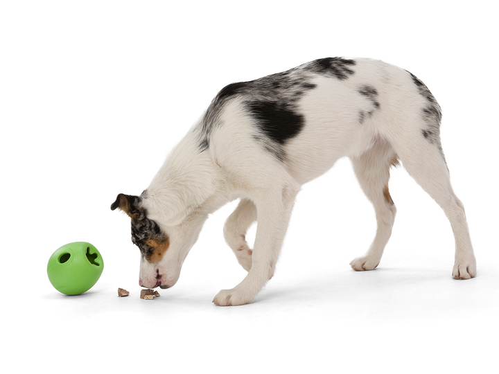 West Paw Rumbl Bouncy Ball Dog Toy Large