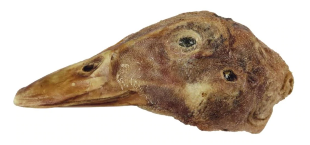Freeze Dried Duck Heads for Cats & Dogs