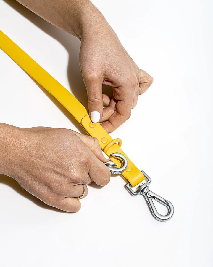 Wild One Waterproof Butter Leash