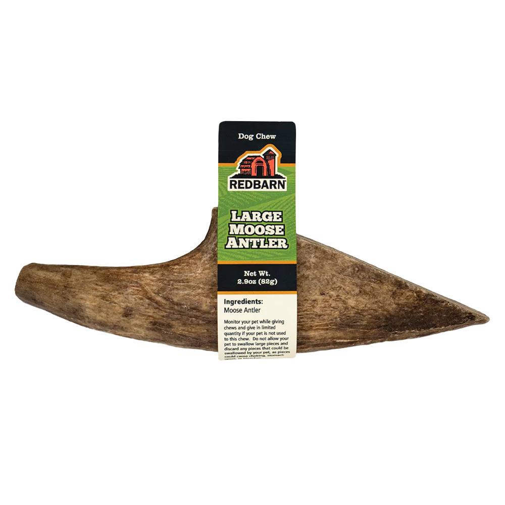Large Moose Antler Dog Chew