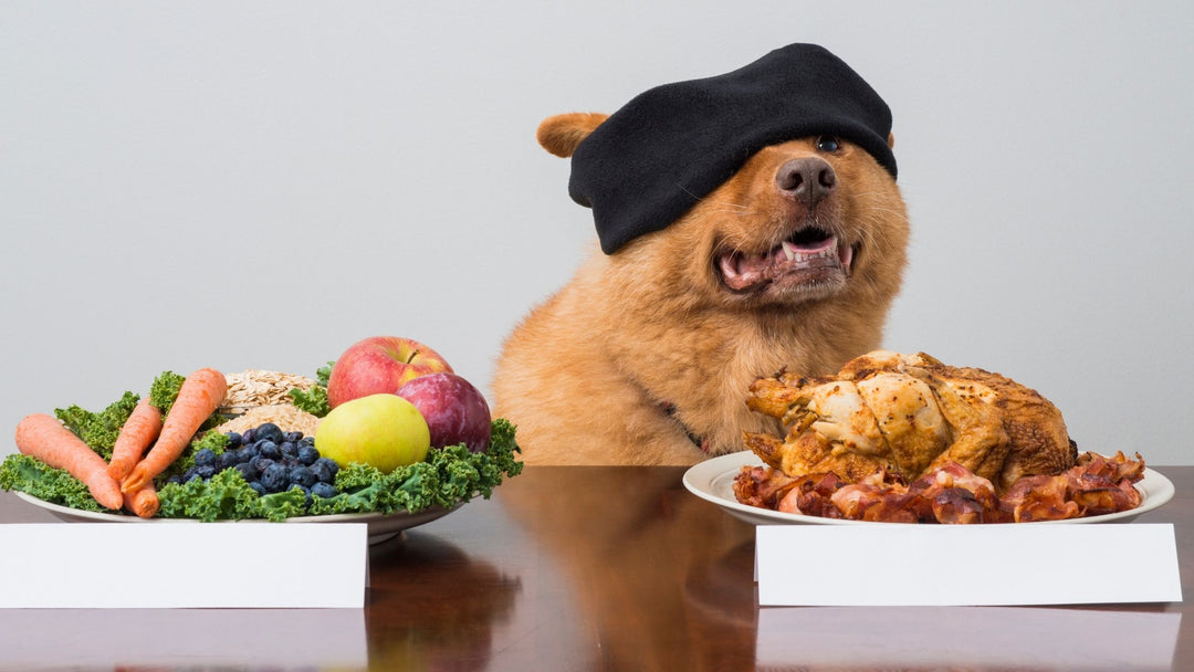 Benefits of Incorporating Raw Food in Your Dog's Diet