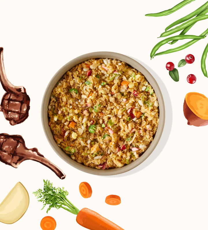 My Perfect Pet Dog Frozen Low Phosphorus Lamb and Rice 4LB