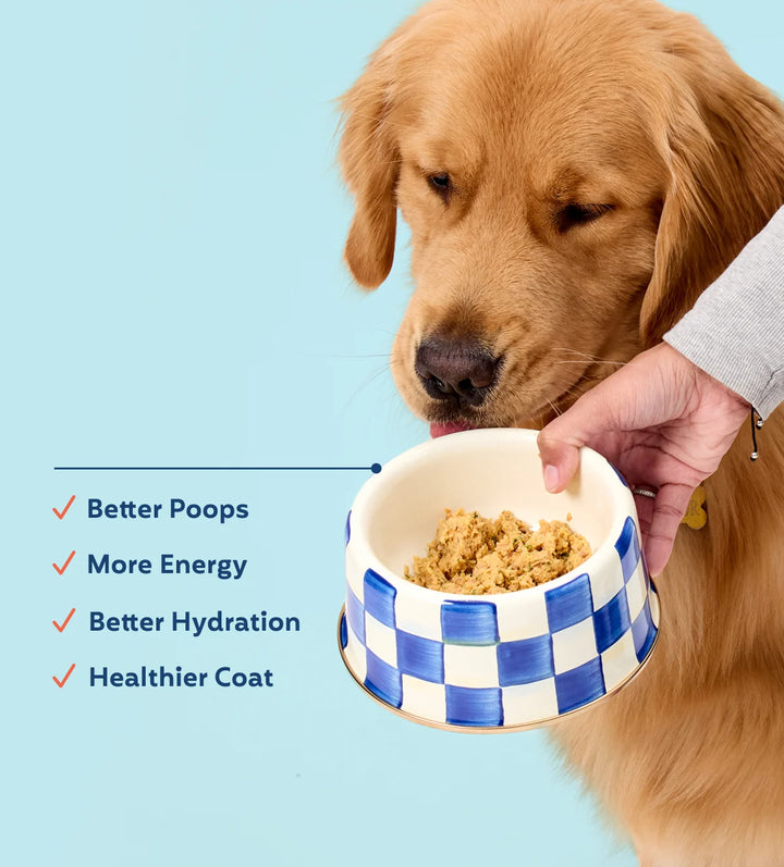 My Perfect Pet Dog Frozen Grain Free Roxy's Lamb & Beef 4LB
