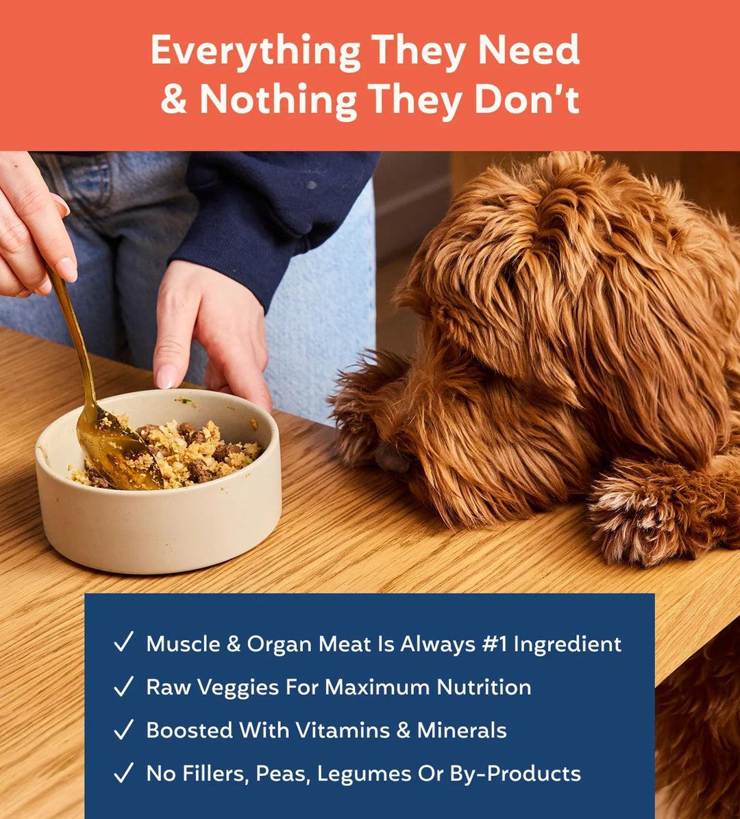 My Perfect Pet Dog Frozen Grain Free Roxy's Lamb & Beef 4LB