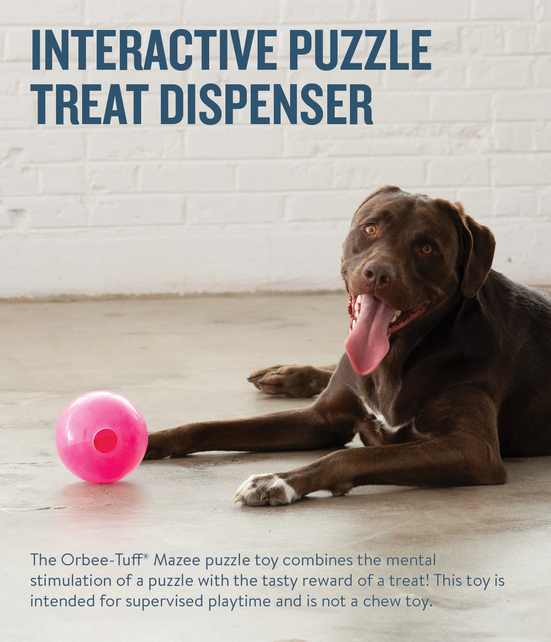 Orbee Tuff Mazee Interactive Treat Dog Toy