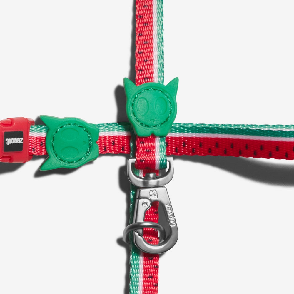 Lola Cat Harness with Leash