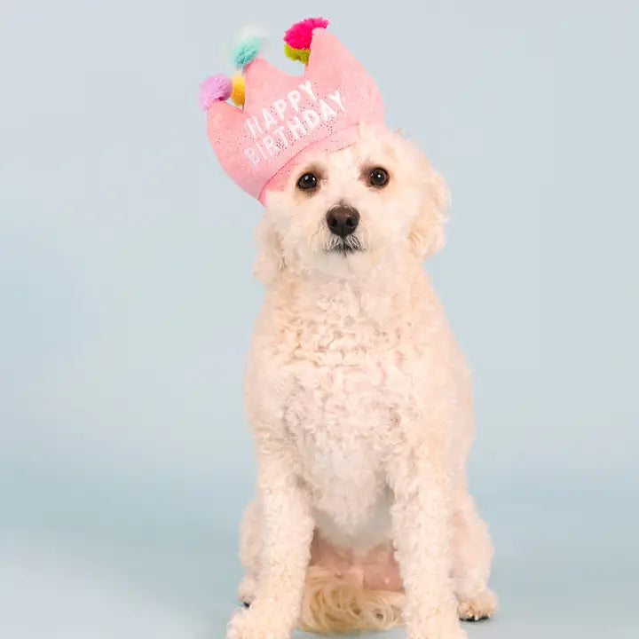 If The Crown Fits Birthday Squeakerless Plush Dog Toy
