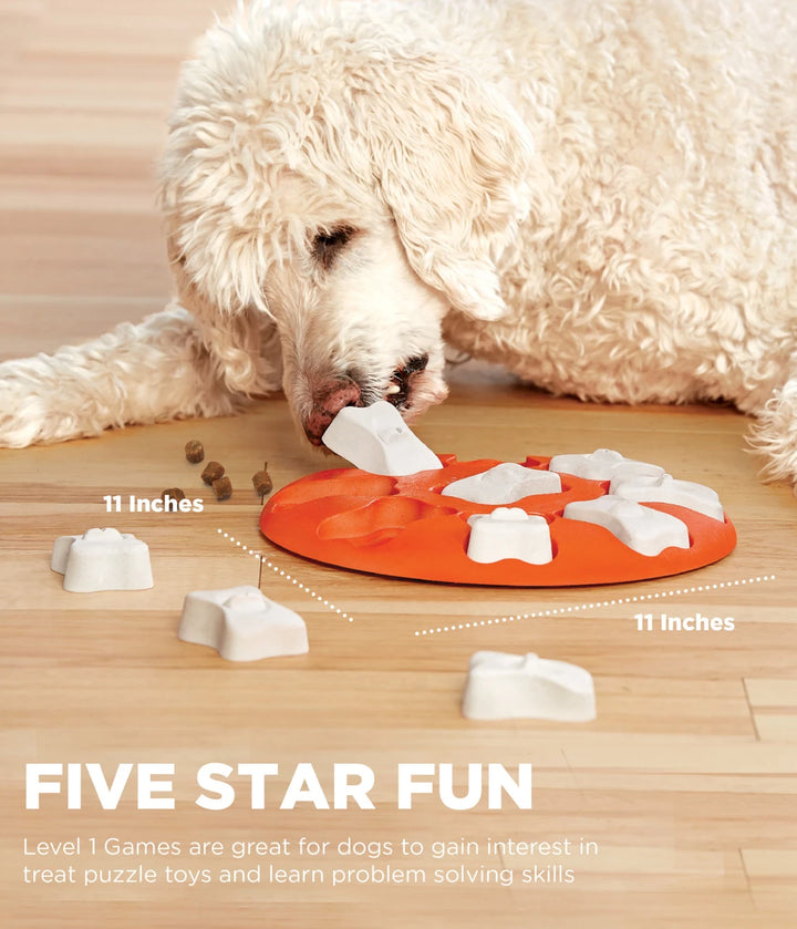 Outward Hound Dog Smart Interactive Treat Puzzle