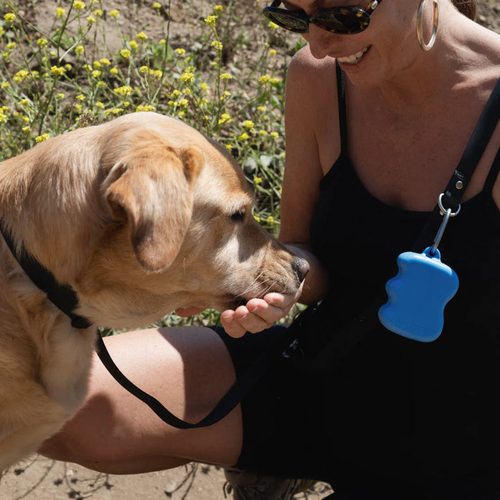 Springland's Silicone Dog Treat Dispenser Blueberry