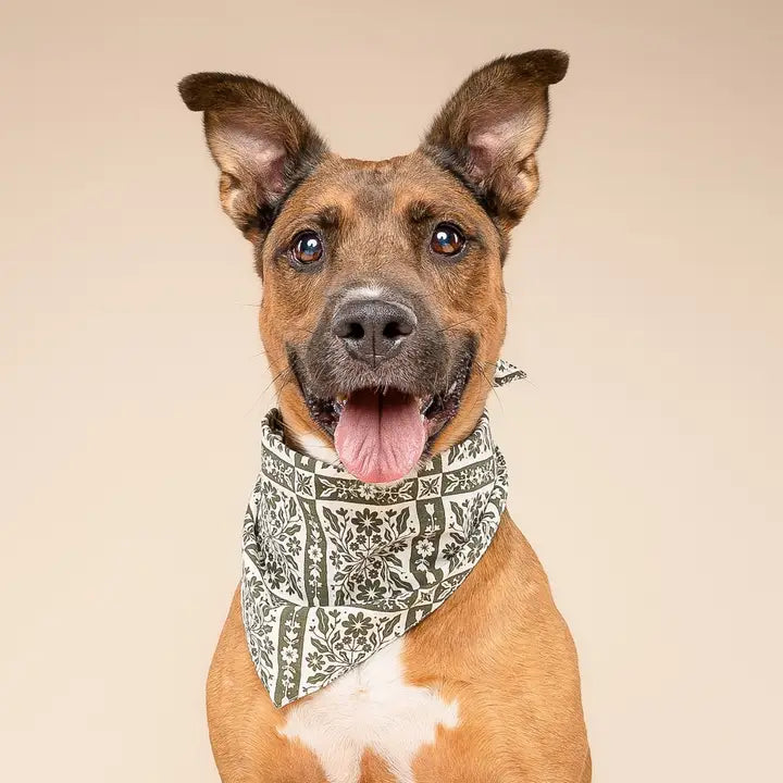 The Paws Fernwood Bandana for Dogs and Cats