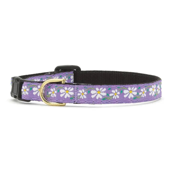 Daisy Small Breed Dog Collar