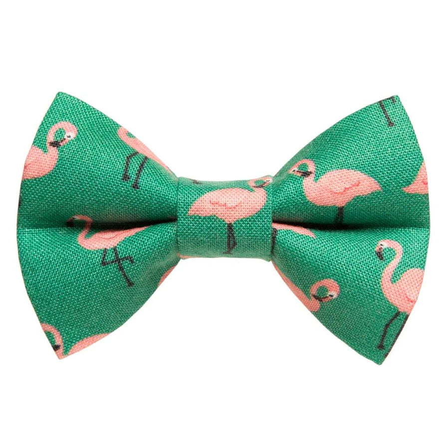 The Next Stop, Miami Bow Tie Attachment for Collar