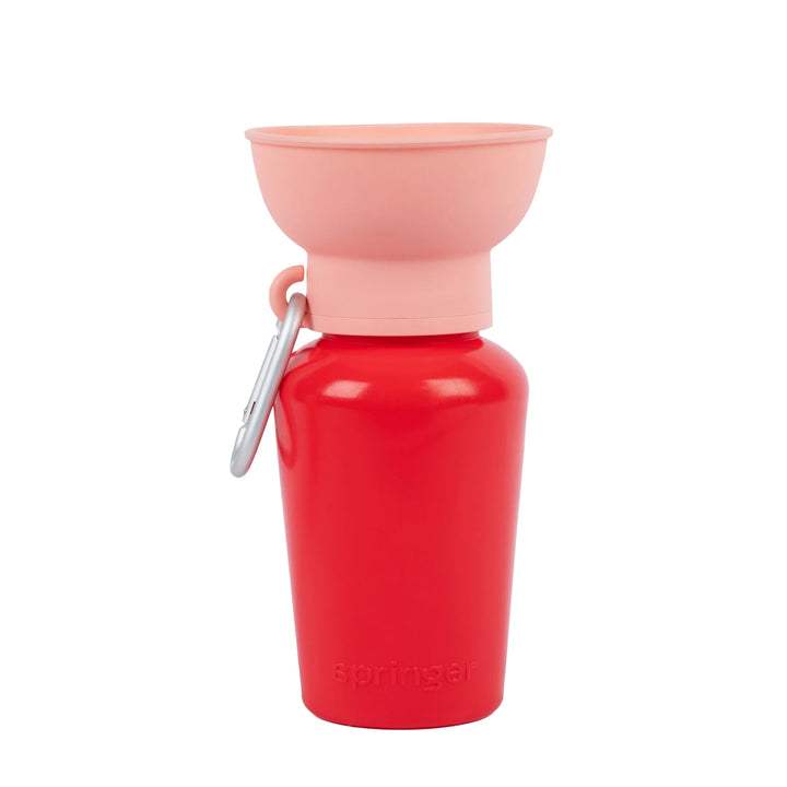 Springer Travel Dog Water Bottle 20oz in Strawberry/Guava