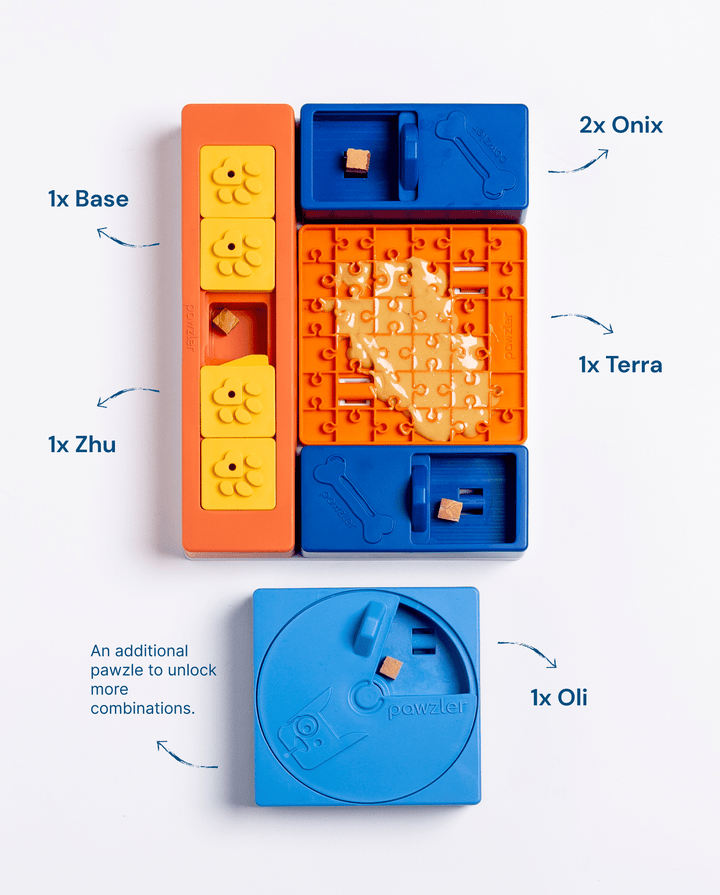 Pawzler Beginner Set Modular Puzzle Enrichment and Slow Feeding System