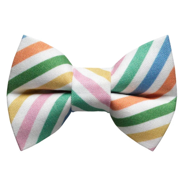 The Out Of The Office Bow Tie Attachment for Collar