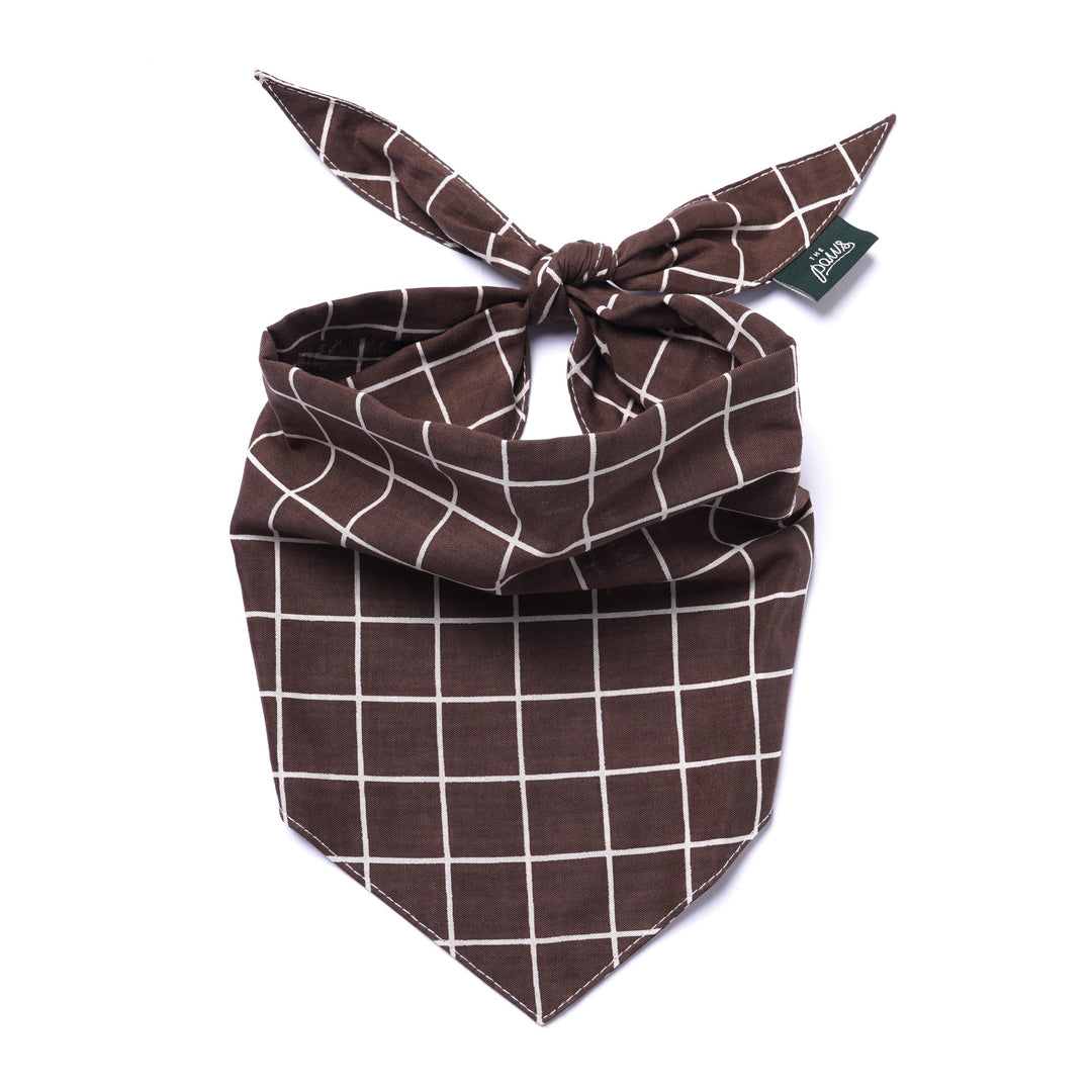 The Paws Stratford Bandana for Dogs and Cats