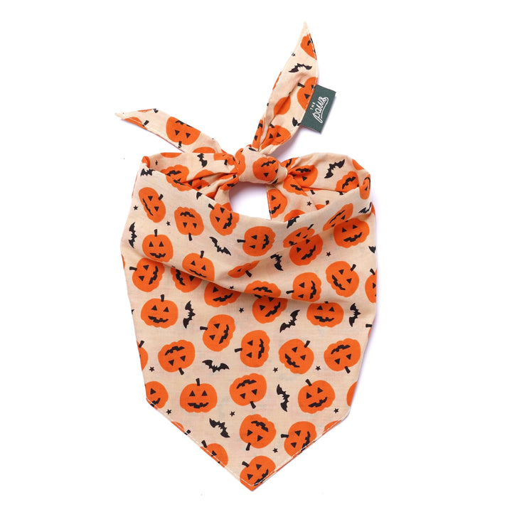 The Paws Pupkin Bandana for Dogs and Cats