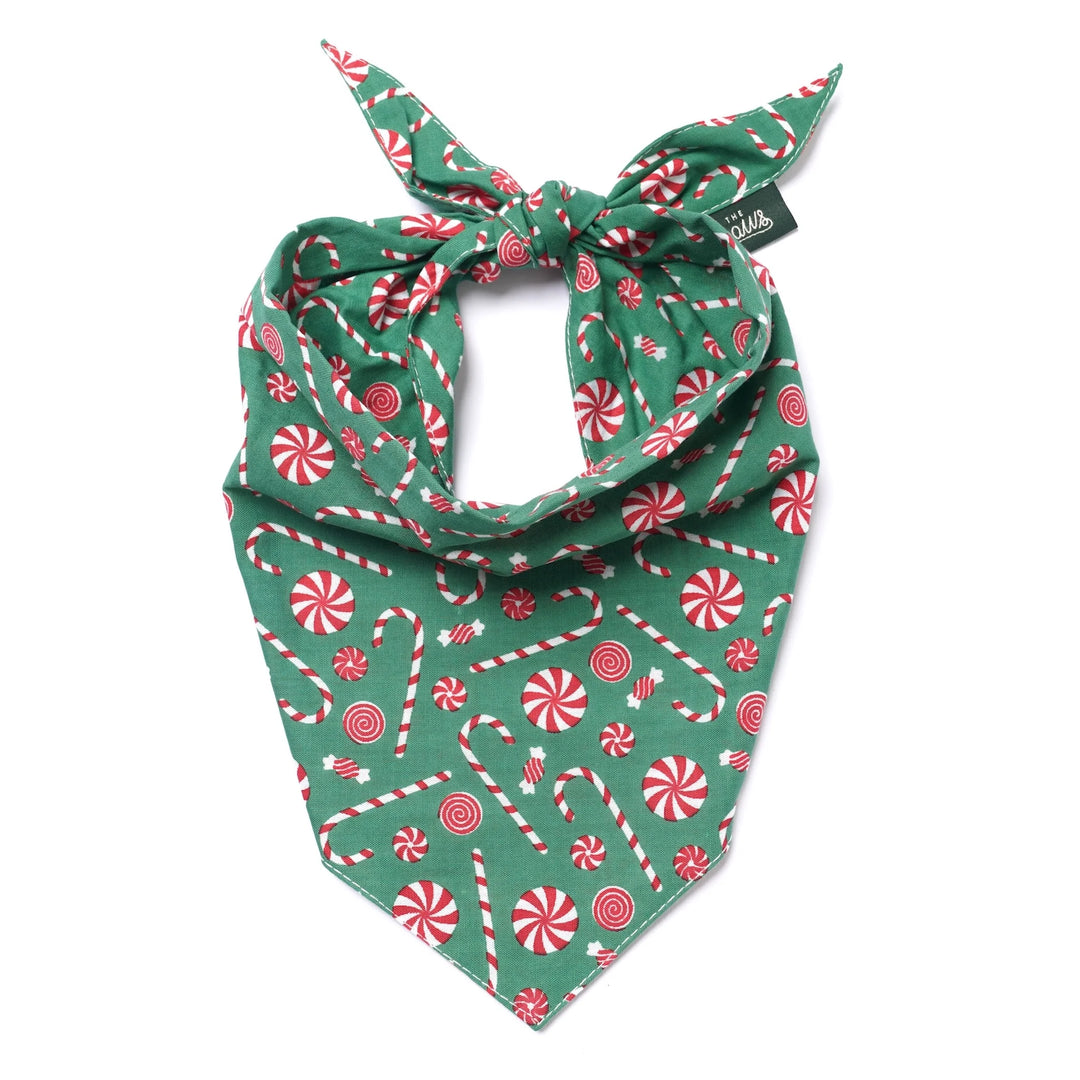 The Paws Sugar Christmas Bandana for Dogs and Cats