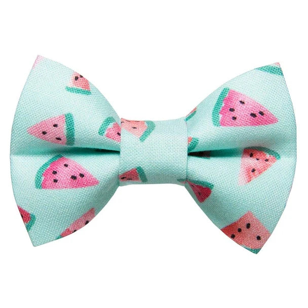The One in a Melon Bow Tie Attachment for Collar