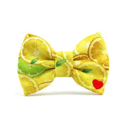 Main Squeeze Bow Tie for Collar
