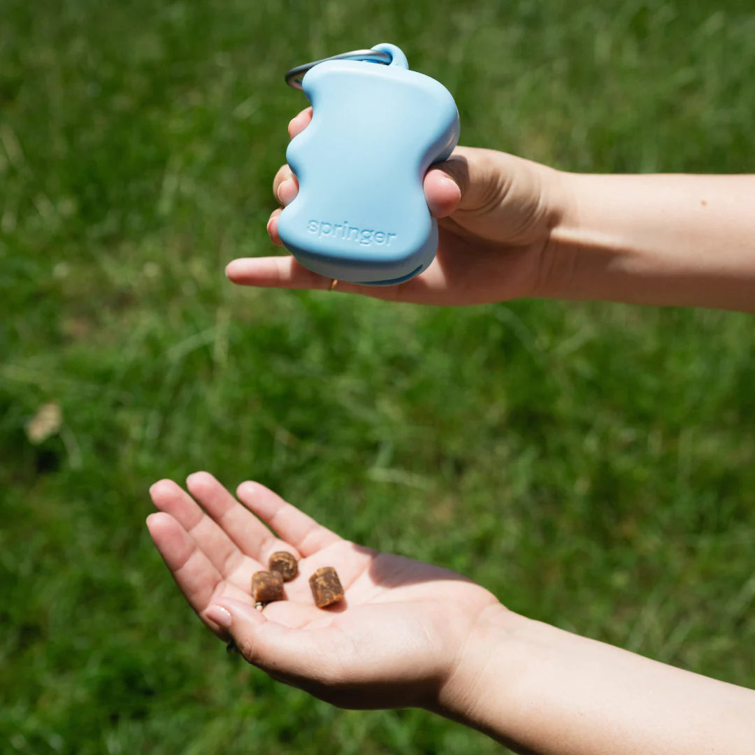 Springland's Silicone Dog Treat Dispenser Sky Blue