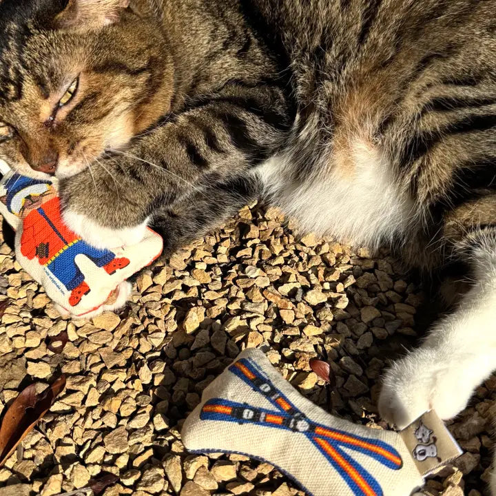 Speckle and Spot Crinkle Ski Kitty Cat Toy Set