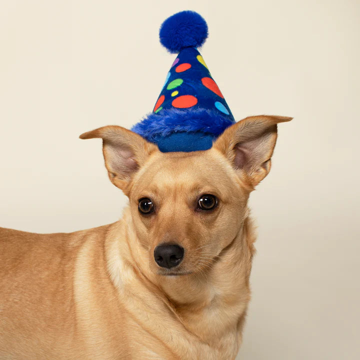 Small Party Hat Dog Toy