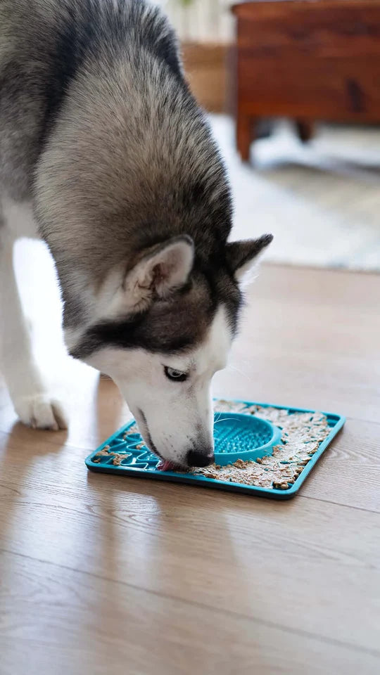 Framed Spill Resistant Silicone Dog Lick Bowl Mat, Enrichment Dog Feeder