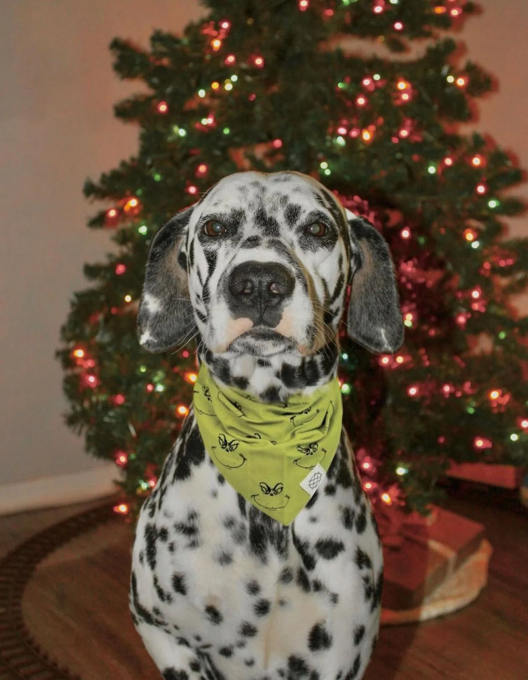 The Paws Grinch Bandana for Dogs and Cats