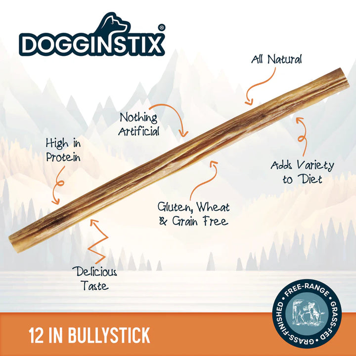 DOGGINSTIX Beef Bully Stick Treat for Dogs 12"