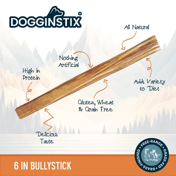 DOGGINSTIX Beef Bully Stick Treat for Dogs 6"