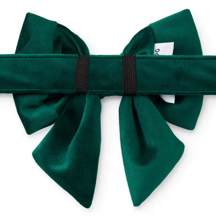 Forest Green Blue Velvet Lady Dog Bow