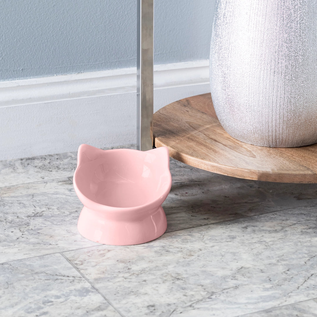 Park Life Designs Pink Oscar Ceramic Tilt Cat Bowl