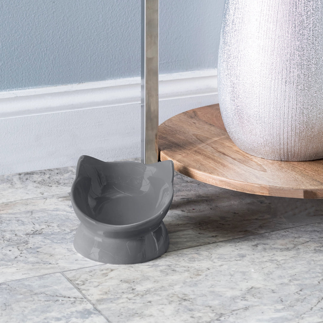 Park Life Designs Gray Oscar Ceramic Tilt Cat Bowl
