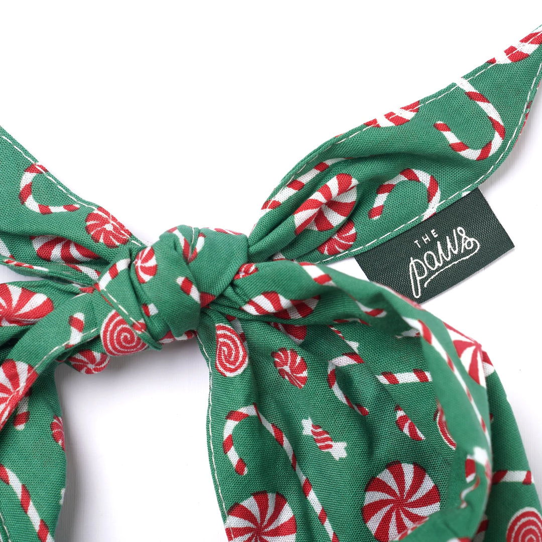 The Paws Sugar Christmas Bandana for Dogs and Cats