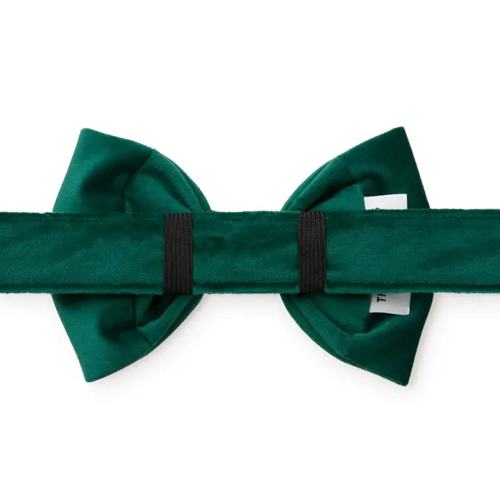 Forest Green Velvet Holiday Dog Bow Tie