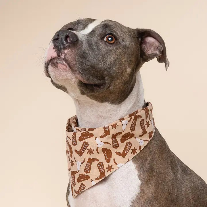 The Paws Bronco Bandana for Dogs and Cats