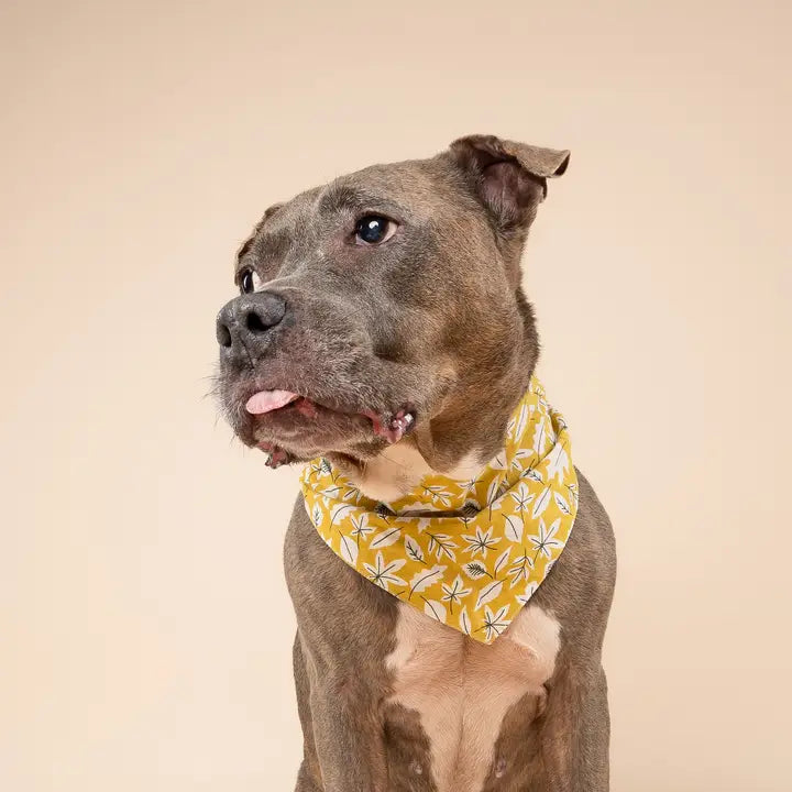 The Paws Golden Fall Leaves Bandana for Dogs and Cats
