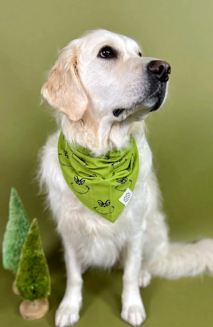 The Paws Grinch Bandana for Dogs and Cats