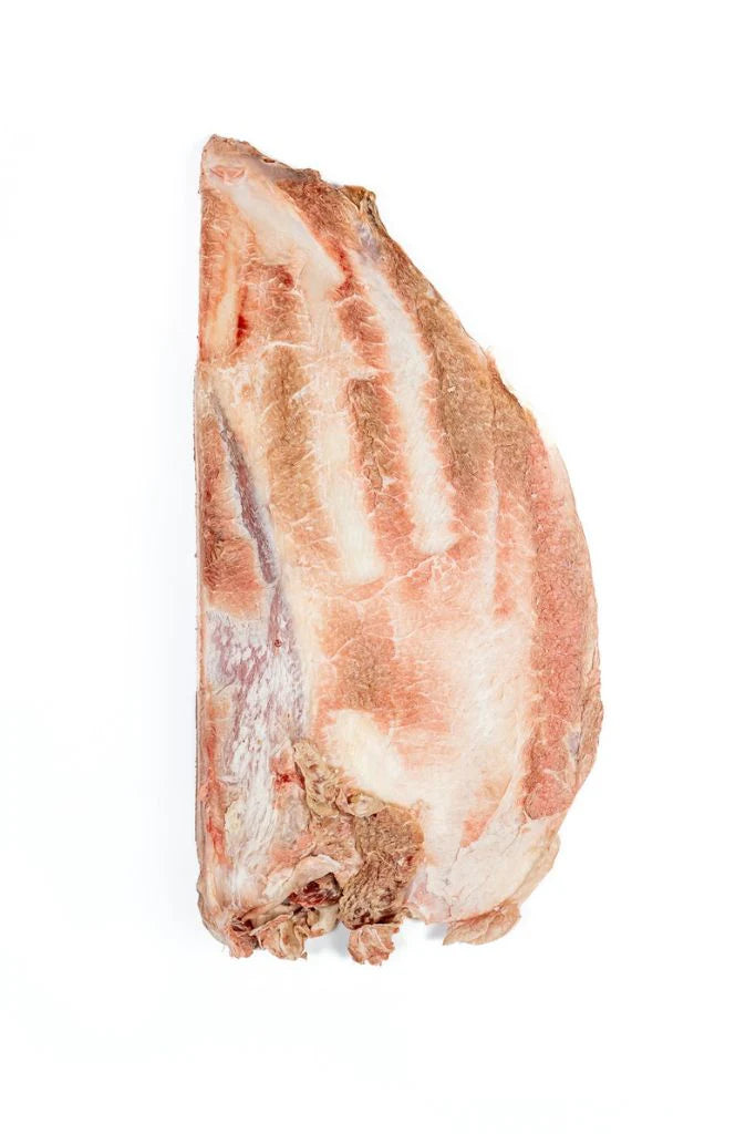 Bison Scapula Chew