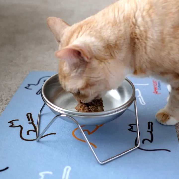 Stainless Steel Elevated Stand and Cat Bowl