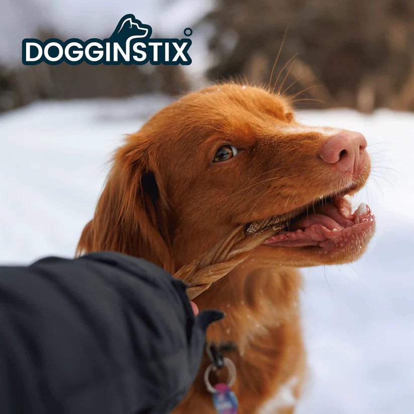 DOGGINSTIX Braided Lamb Collagen Stick Treat for Dogs 6"
