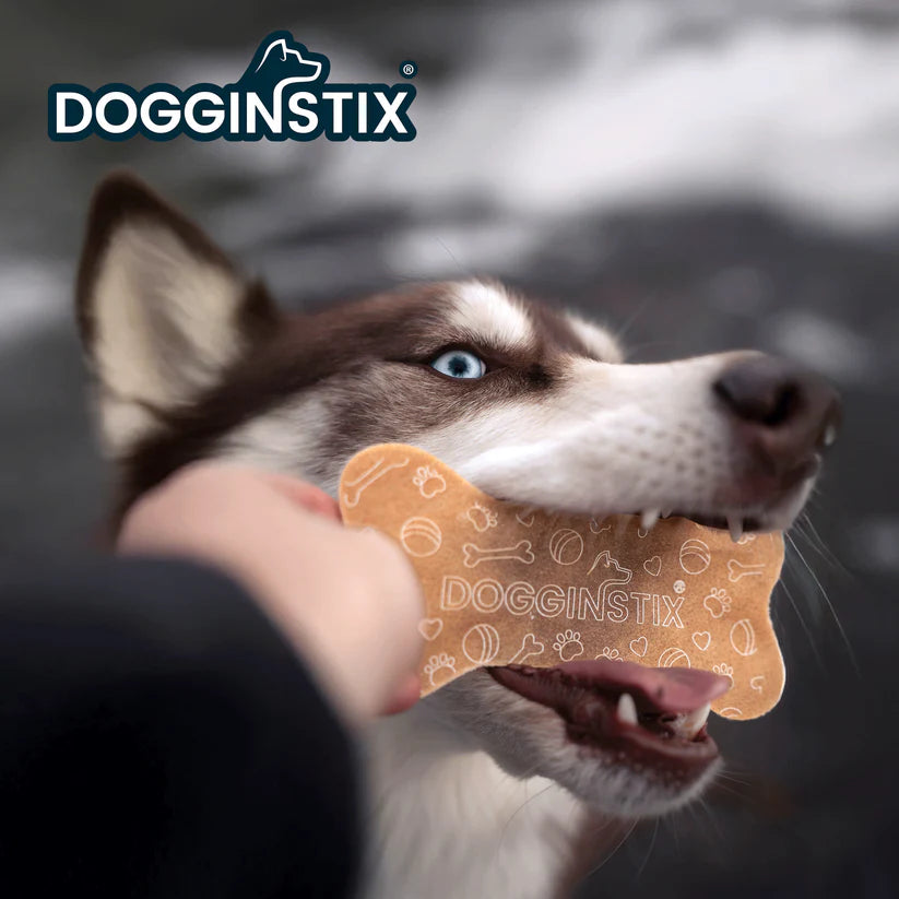 DOGGINSTIX Beef Collagen Collabone Treat for Dogs 6"