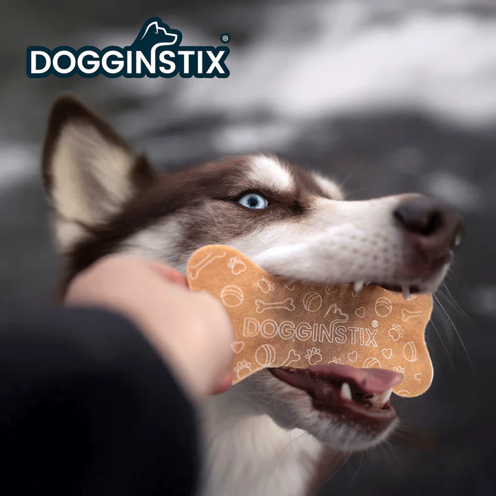 DOGGINSTIX Beef Collagen Collabone Treat for Dogs 6"